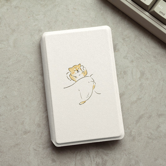 Cute Illustrated Detachable Case for XTEINK X3 And XTEINK X4
