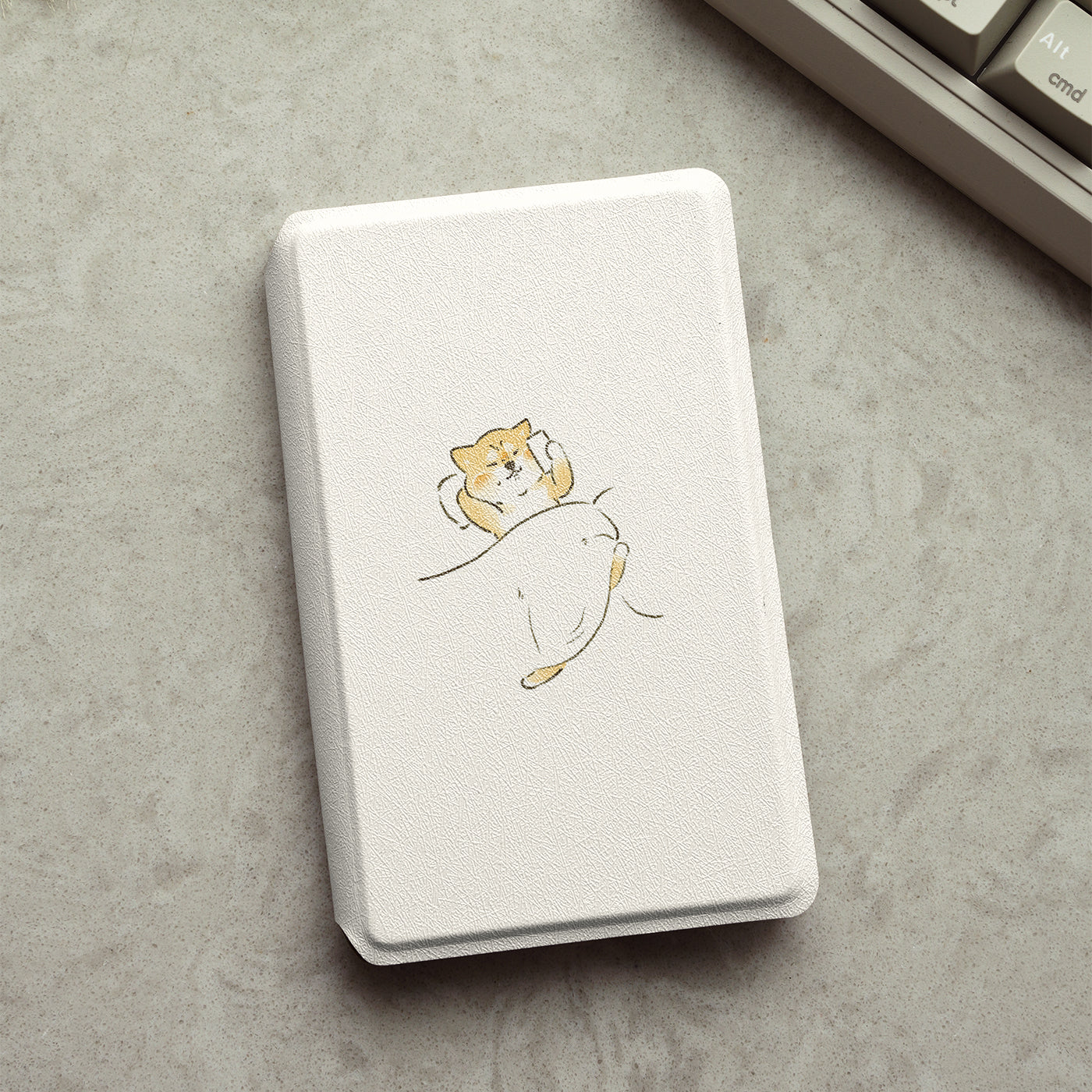 Cute Illustrated Detachable Case for XTEINK X3 And XTEINK X4