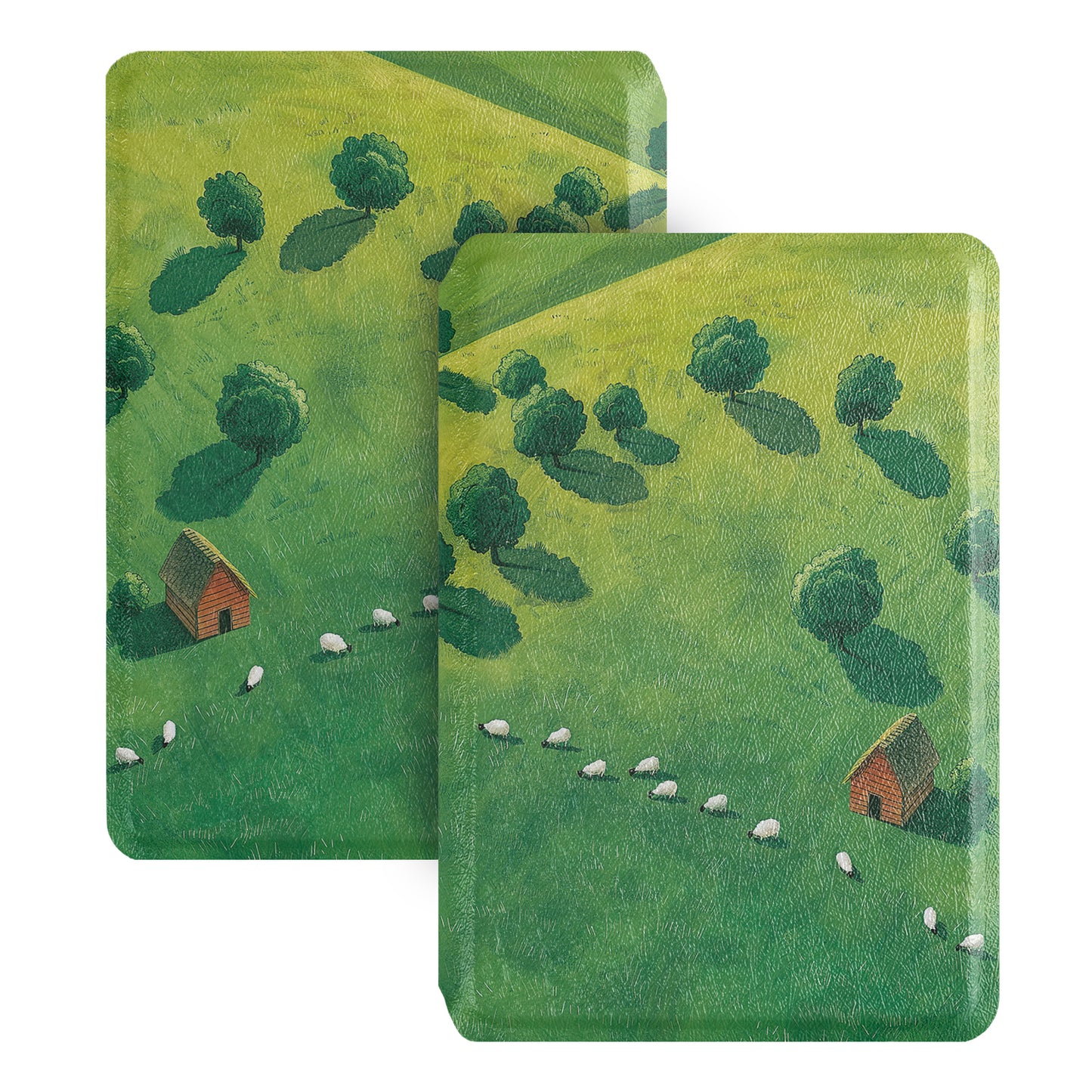 Scenic Detachable Case for XTEINK X3 And XTEINK X4
